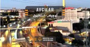 آوجیلار